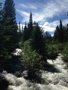 Buchanan Pass Trail in Peaceful Valley in the Indian Peaks Wilderness in Colorado