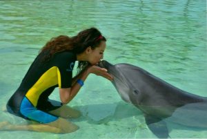Swimming with Dolphins at Atlantis Resort Bahamas