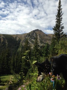 Audra Ogilvy and Profit on the Devil's Thumb Lake Trail in Indian Peaks Wilderness