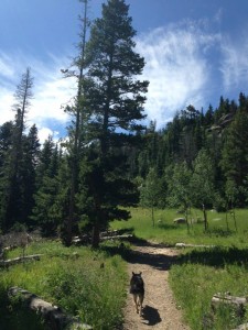 Buchanan Pass Trail in Peaceful Valley in Colorado