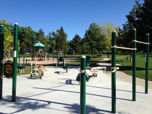 Boulder Outdoor Exercise Equipment Fitness Circuit