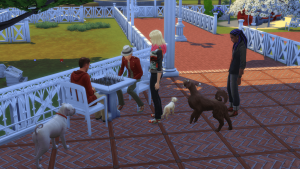 the sims meet other sims with dogs at a cafe park